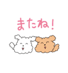 白プー茶プーと友達（個別スタンプ：40）