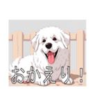 グレートピレニーズがいっぱい（個別スタンプ：13）