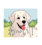 グレートピレニーズがいっぱい（個別スタンプ：19）
