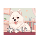 サモエドがいっぱい（個別スタンプ：11）