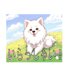 サモエドがいっぱい（個別スタンプ：19）