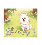 サモエドがいっぱい（個別スタンプ：24）