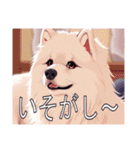 サモエドがいっぱい（個別スタンプ：40）