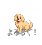 ゴールデンレトリバーがいっぱい（個別スタンプ：7）