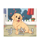 ゴールデンレトリバーがいっぱい（個別スタンプ：9）