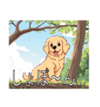 ゴールデンレトリバーがいっぱい（個別スタンプ：28）