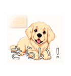 ゴールデンレトリバーがいっぱい（個別スタンプ：38）