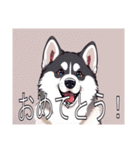 シベリアンハスキーがいっぱい（個別スタンプ：7）