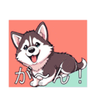 シベリアンハスキーがいっぱい（個別スタンプ：25）