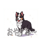 ボーダーコリーがいっぱい（個別スタンプ：5）