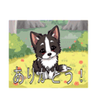 ボーダーコリーがいっぱい（個別スタンプ：6）