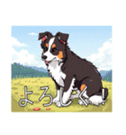 ボーダーコリーがいっぱい（個別スタンプ：9）