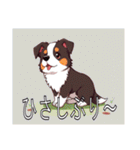 ボーダーコリーがいっぱい（個別スタンプ：11）