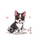 ボーダーコリーがいっぱい（個別スタンプ：12）