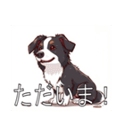 ボーダーコリーがいっぱい（個別スタンプ：17）