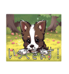 ボーダーコリーがいっぱい（個別スタンプ：21）
