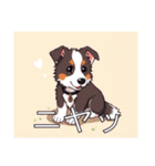 ボーダーコリーがいっぱい（個別スタンプ：22）
