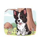 ボーダーコリーがいっぱい（個別スタンプ：25）
