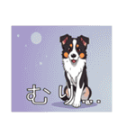 ボーダーコリーがいっぱい（個別スタンプ：31）