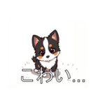 ボーダーコリーがいっぱい（個別スタンプ：34）