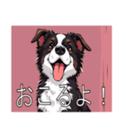 ボーダーコリーがいっぱい（個別スタンプ：35）