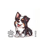 ボーダーコリーがいっぱい（個別スタンプ：38）
