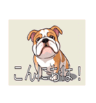 ブルドッグがいっぱい（個別スタンプ：2）