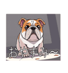 ブルドッグがいっぱい（個別スタンプ：4）