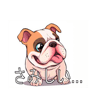 ブルドッグがいっぱい（個別スタンプ：24）