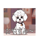ミディアムプードルがいっぱい（個別スタンプ：4）