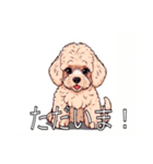 ミディアムプードルがいっぱい（個別スタンプ：12）