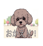 ミディアムプードルがいっぱい（個別スタンプ：13）