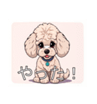 ミディアムプードルがいっぱい（個別スタンプ：17）