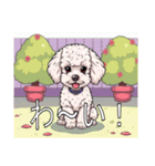 ミディアムプードルがいっぱい（個別スタンプ：18）