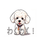 ミディアムプードルがいっぱい（個別スタンプ：20）