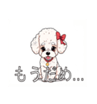 ミディアムプードルがいっぱい（個別スタンプ：28）
