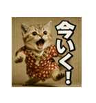 甚兵衛マンチカンちゃん。（個別スタンプ：11）