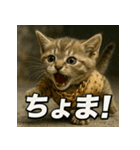 甚兵衛マンチカンちゃん。（個別スタンプ：15）