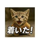 甚兵衛マンチカンちゃん。（個別スタンプ：16）