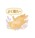 うさぎとお花のやさしい気持ち（個別スタンプ：11）