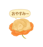 うさぎとお花のやさしい気持ち（個別スタンプ：12）