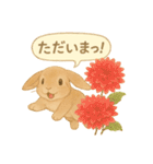 うさぎとお花のやさしい気持ち（個別スタンプ：23）