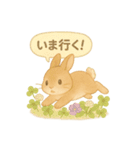 うさぎとお花のやさしい気持ち（個別スタンプ：24）