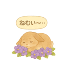 うさぎとお花のやさしい気持ち（個別スタンプ：35）