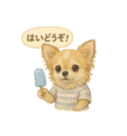 ふわふわチワワの夏スタンプ（個別スタンプ：5）