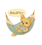ふわふわチワワの夏スタンプ（個別スタンプ：6）