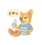 ふわふわチワワの夏スタンプ（個別スタンプ：14）