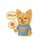 ふわふわチワワの夏スタンプ（個別スタンプ：22）