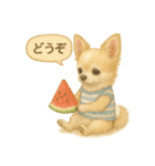ふわふわチワワの夏スタンプ（個別スタンプ：23）
