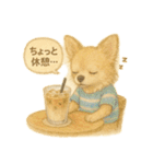 ふわふわチワワの夏スタンプ（個別スタンプ：24）